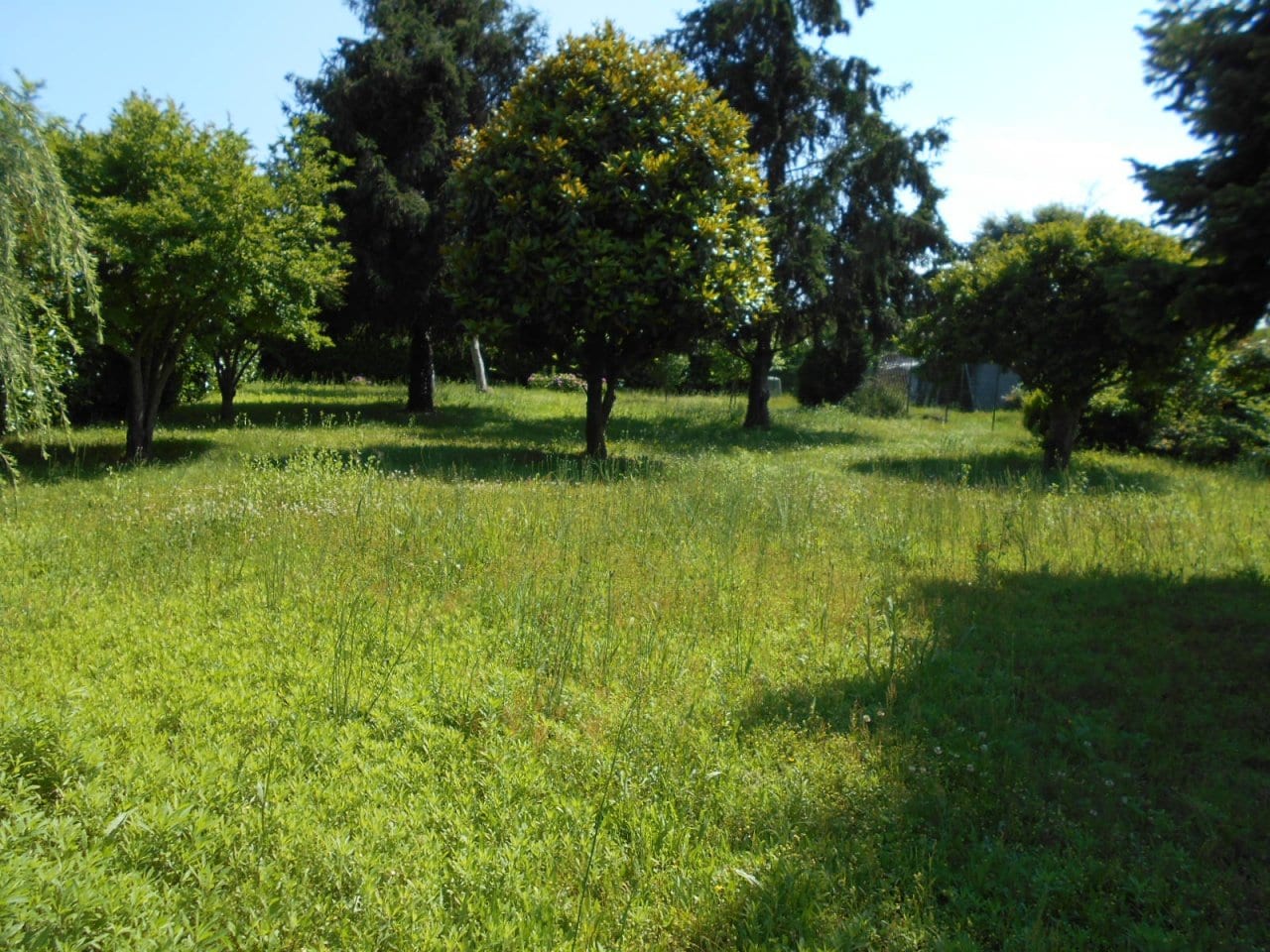 CASA INDIPENDENTE in VENDITA a CIGLIANO