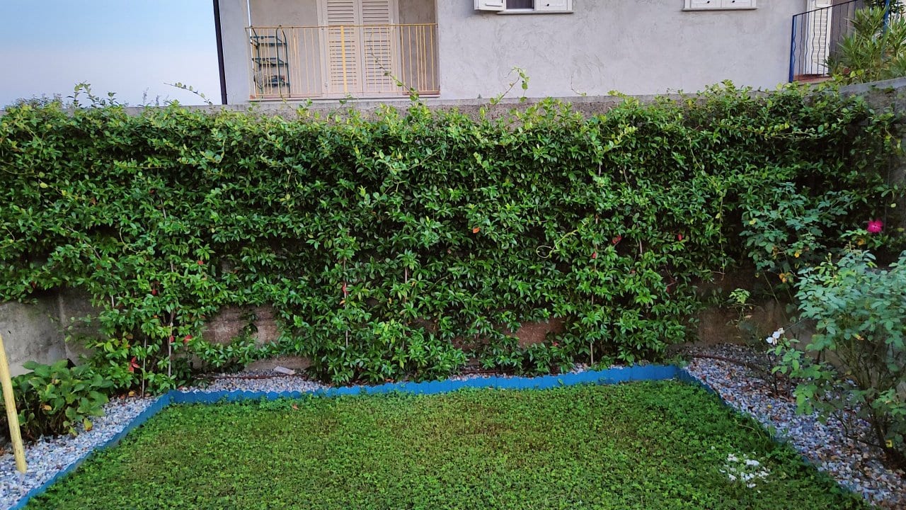 VILLA in VENDITA a LIVORNO FERRARIS