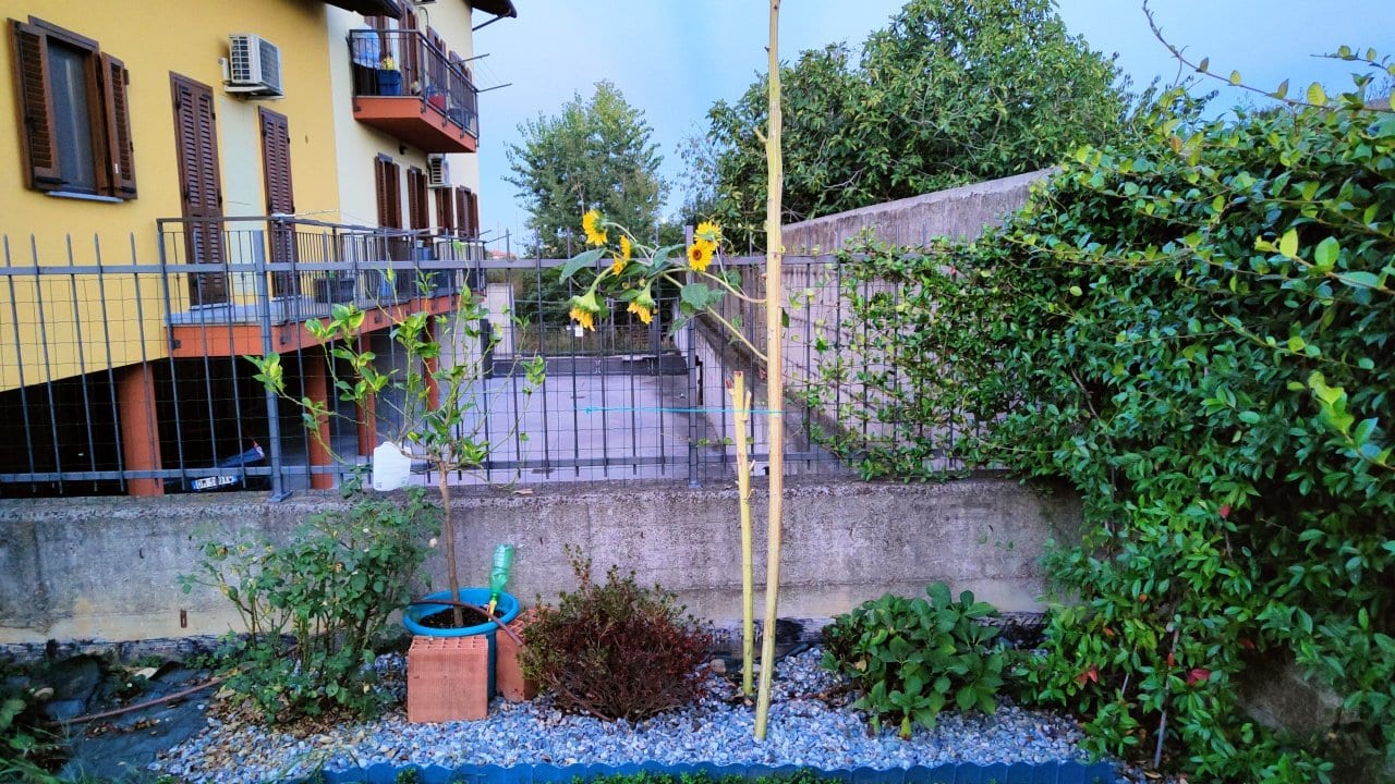 VILLA in VENDITA a LIVORNO FERRARIS