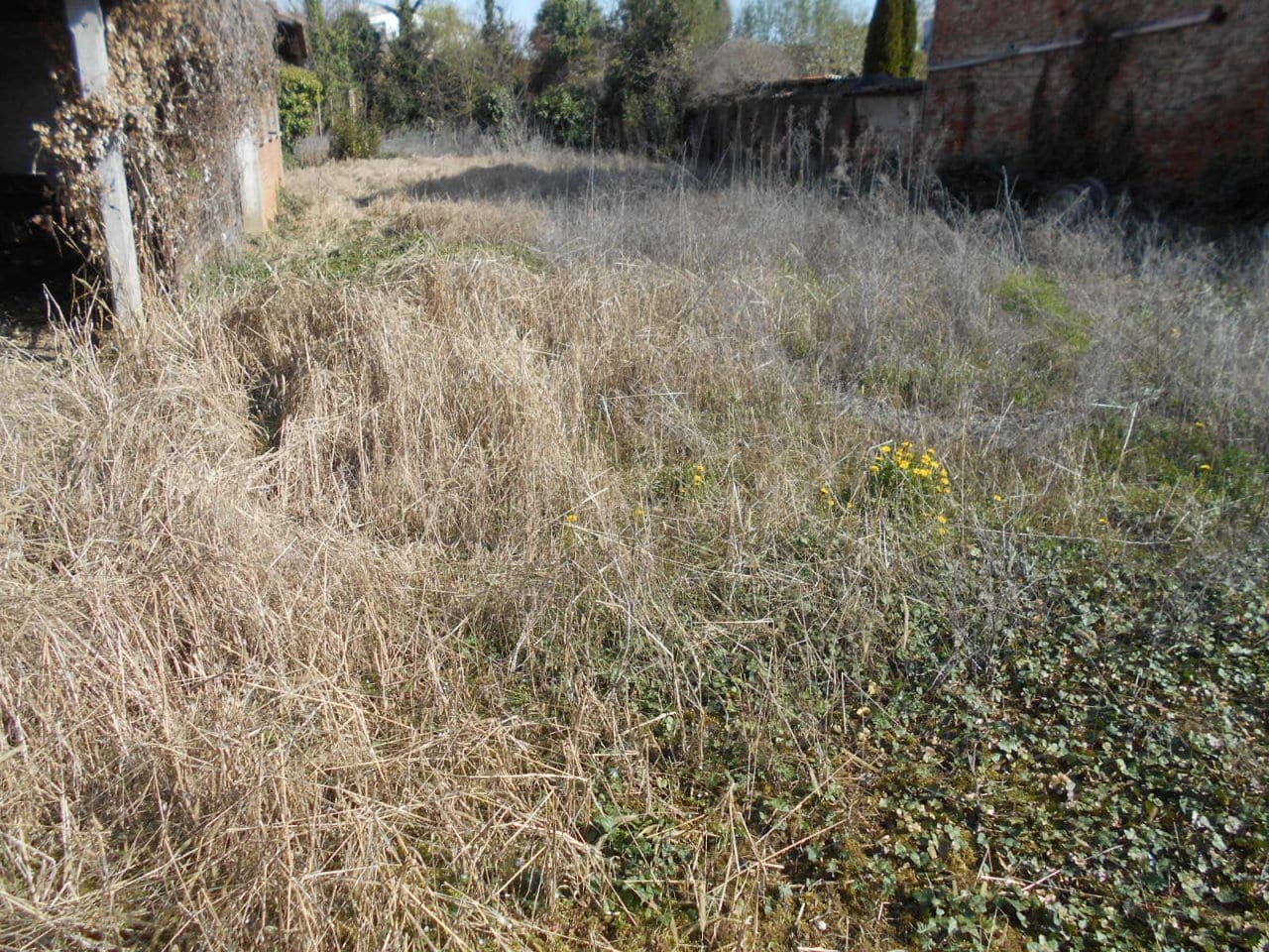 CASA INDIPENDENTE in VENDITA a LIVORNO FERRARIS